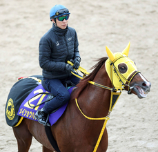 【チャンピオンズＣ】８歳馬メイショウハリオ４着　武豊騎手「思ったより４角で外へ振られて…」　東京大賞典出走も