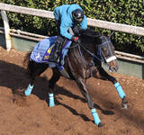 「【ホープフルＳ・理貴の特注馬】ジャスティンビスタが３連勝で２歳中距離王へ　あるぞ吉岡厩舎２週連続２歳Ｇ１制覇」の画像1