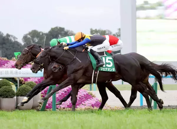 【京都金杯・レースメモ】うま年の年男、須貝尚介調教師が延べ７頭の出走で初勝利