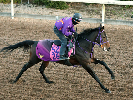 日曜中山競馬場の注目激走馬…中山１１Ｒフェアリーステークス・Ｇ３
