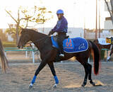 「【アメリカＪＣＣ】ノースブリッジが再び芝へ　奥村武調教師「戻りつつあると思います」８歳馬が３年ぶりＶ狙う」の画像1