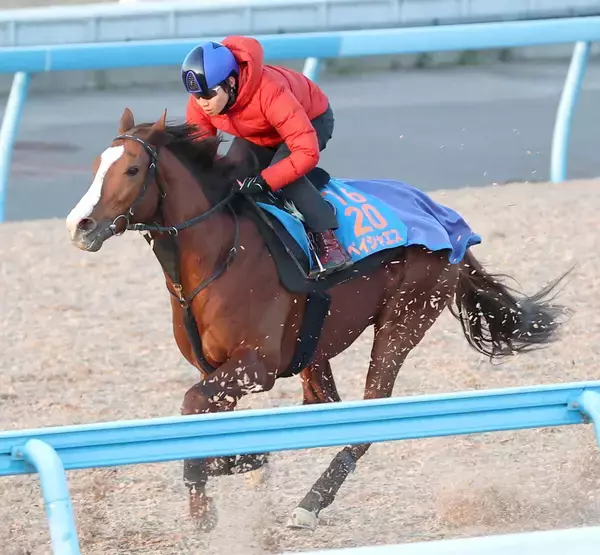 【プロキオンＳ】２月で引退の小西調教師がペイシャエスで重賞挑戦「７歳だけどまだやれる」Ｇ１に向けて結果が欲しい一戦