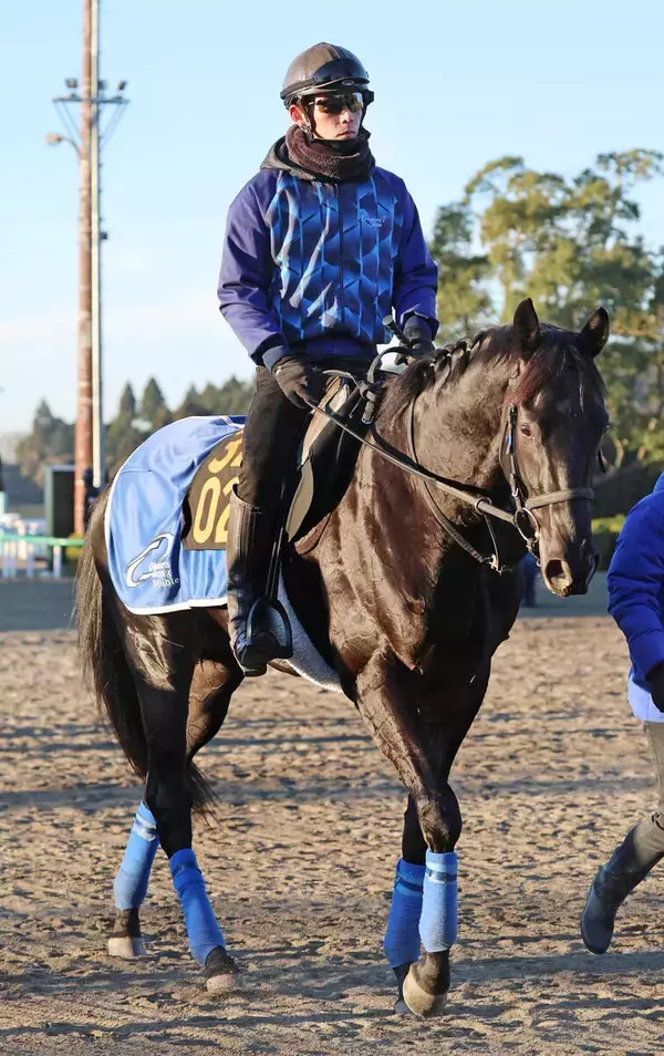 【注目馬動向】クロワデュノールの全弟チャリングクロス　ルメール騎手との新コンビでフリージア賞へ