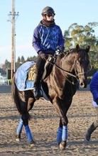 【注目馬動向】クロワデュノールの全弟チャリングクロス　ルメール騎手との新コンビでフリージア賞へ