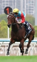 「馬を超越した何か」「馬の姿をしたガソリン車」香港最強馬の走りにネット騒然　カーインライジング１８連勝