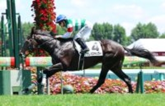 【スプリングＳ】レベチだったクレパスキュラーのデビュー戦　忘れられない栗田調教師の言葉と表情