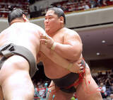 「西幕下１９枚目・旭水野が七番相撲で勝ち越し「久しぶりに緊張した」…来場所の幕下１５枚目以内昇進が有力」の画像1