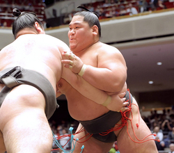 西幕下１９枚目・旭水野が七番相撲で勝ち越し「久しぶりに緊張した」…来場所の幕下１５枚目以内昇進が有力