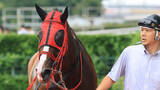 「【ブリーダーズＧＣ】レイバックスピンが３連勝で重賞初挑戦Ｖ　丹内祐次騎手はレース前から自信「勝てるかなと思いました」」の画像1