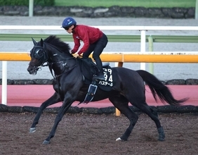 【セントライト記念】バステールはダービー３着から成長加えた復帰戦　斉藤崇調教師「成長して戻ってきたなという感じです」