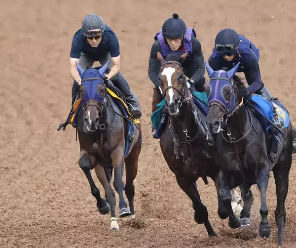 【チャレンジＣ】秘めた能力は一級品！４連勝へマリアイリダータが軽快な動き　田中博調教師「力みもなく、スムーズに...」