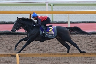 【菊花賞・調教後談話】３冠阻止の伏兵は！？　「これで負けたら…」アスクエジンバラに「一発狙える」ショウナンハヤナミ　各陣営ジャッジは…