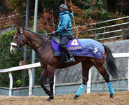 【朝日杯フューチュリティステークス展望】上位４頭によるハイレベルな争い　カヴァレリッツオの逆転に期待