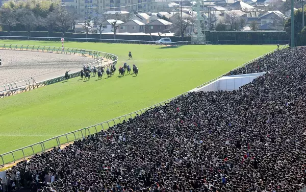 有馬記念デーの中山競馬場・芝コースはフラットに近い状態　荻野極騎手が昨日との違いを指摘