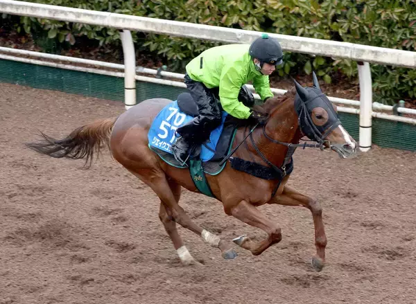 【京都記念】重賞連勝狙うシェイクユアハートは力強い脚さばき　宮調教師「使うたびに良くなっている」
