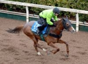 【京都記念】重賞連勝狙うシェイクユアハートは力強い脚さばき　宮調教師「使うたびに良くなっている」