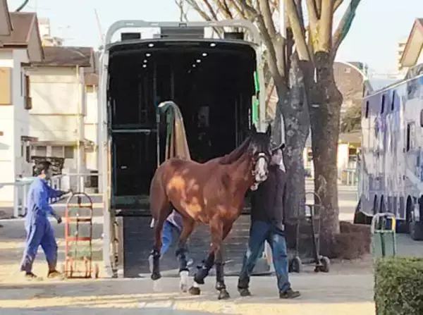 【フェブラリーＳ】２年前の１番人気オメガギネスは毛づやの良さ際立つ　陣営「体が締まった感じがある」