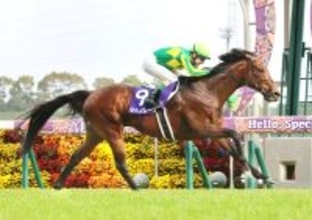 【小島太元調教師の競馬ジャーナル】短距離界はまだ世代交代が進んでいない…連覇したサトノレーヴの強さだけが際立った