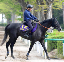 【皐月賞・金曜調整】ゾロアストロはキビキビした動きで仕上がり万全　宮田調教師も「非常に活気がある」と手応え