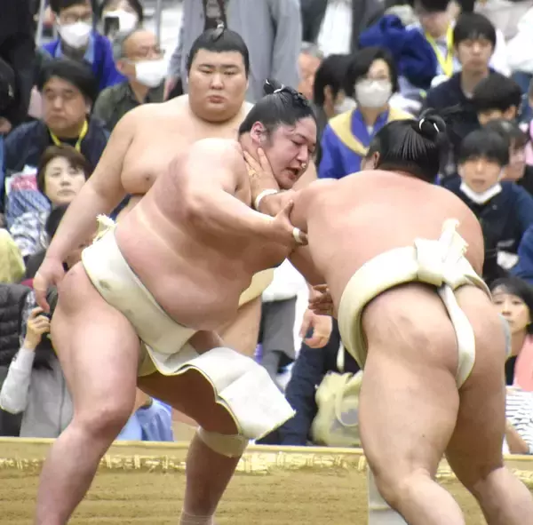 藤青雲、プチ感無量　初の大関以上との三番稽古「本当にありがたいことで、少しうれしかった」…大関・霧島には４勝８敗