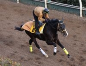 日曜福島競馬場の注目激走馬…福島１１Ｒ福島牝馬ステークス・Ｇ３