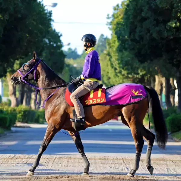 【ヴィクトリアＭ・金曜気配】ジョスランの状態は鹿戸調教師「坂路で元気いっぱい」　７枠１４番にも「極端な枠じゃないからね」と前向き
