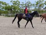 「「気持ちよかった。馬の上が一番いい」岩田康誠騎手が右鎖骨骨折から６日で調教復帰　日本ダービーのアスクエジンバラに騎乗」の画像1