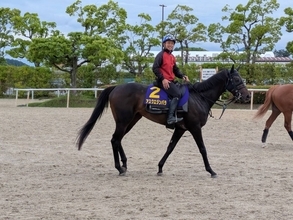 「気持ちよかった。馬の上が一番いい」岩田康誠騎手が右鎖骨骨折から６日で調教復帰　日本ダービーのアスクエジンバラに騎乗
