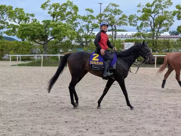 「気持ちよかった。馬の上が一番いい」岩田康誠騎手が右鎖骨骨折から６日で調教復帰　日本ダービーのアスクエジンバラに騎乗