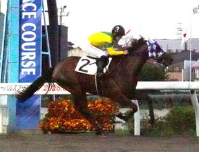 ワイルドウルルがスイートアリッサム賞を逃げ切り２戦２勝　小久保智厩舎からは２５日にフライトライン産駒ロイヤルエンペラーがデビュー