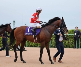 酒井学騎手に過怠金１０万円　スプリンターズＳで騎乗のレッドモンレーヴが外側に斜行　エーティーマクフィの進路が狭くなったため