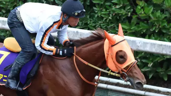 【注目馬動向】桜花賞馬スターアニスはマイルＣＳに参戦　２戦２勝のマイルで巻き返し狙う