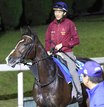 【ＢＣマイル】アスクイキゴミは５番枠　ルガルは１０番枠から日本馬初制覇目指す　枠順決定