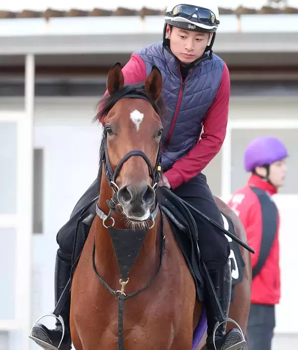【ＰＯＧ】兄にファルコニアなど重賞好走馬が多数のフォコンノワールが土曜京都５Ｒでデビュー　友道調教師「中長距離で良さそうなタイプ」
