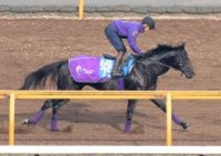 【鳴尾記念】兄姉にＧ１ホース３頭の良血馬グランヴィノスが初タイトルへ　友道調教師「ワンターンの方がいい」
