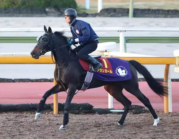 【阪神ＪＦ】良血アランカールは２枠４番　武豊騎手騎乗のマーゴットラヴミーは４枠７番　枠順確定
