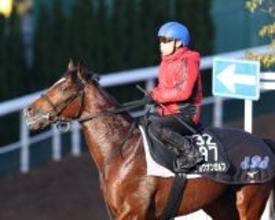 【ホープフルステークス】札幌２歳Ｓの覇者ショウナンガルフ、京都２歳Ｓを勝ったジャスティンビスタなど１７頭が登録