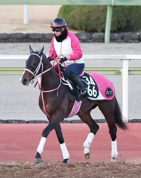 【シンザン記念】Ｇ１馬の半弟バルセシートは６枠１１番　武豊騎手騎乗のディアダイヤモンドは２枠４番に決定