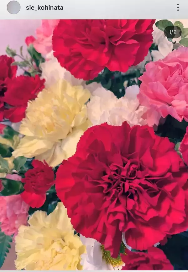 小日向しえ　最愛の母が死去「私のことも息子達のことも全力で守ってくれました」ココリコ田中直樹と離婚