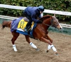 【シルクロードＳ】キレッキレの動き！アブキールベイが坂路でラスト１１秒８　坂口調教師「十分、勝負できると思う」