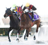 「【笠松・ブルーリボンマイル】大荒れ！９番人気のエイシンジョルトがＶ　３連単３７万円超　１番人気スマートアンバー３着」の画像1