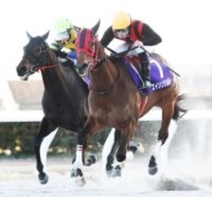 【笠松・ブルーリボンマイル】大荒れ！９番人気のエイシンジョルトがＶ　３連単３７万円超　１番人気スマートアンバー３着
