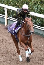 【大阪杯】ダノンデサイルは落ち着き十分に坂路を駆け上がる　安田調教師「今のところは変わらず来られています」