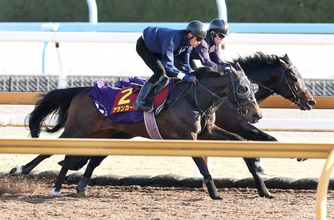 【桜花賞】武豊騎手「今週は（自分も）満開にしたい」　良血アランカールで２２年ぶり６勝目狙う　共同会見