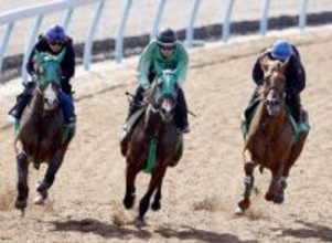 【青葉賞】ダービー切符へラストスマイルは３頭併せで最先着　杉原誠人騎手「やっぱり走る」