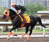 「【チャンピオンズマイル】日本馬２頭は大敗...ジャンタルマンタル１３着に高野調教師「根本的に合わないのかも」」の画像1