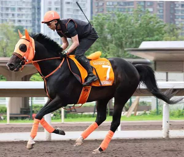 【チャンピオンズマイル】日本馬２頭は大敗...ジャンタルマンタル１３着に高野調教師「根本的に合わないのかも」