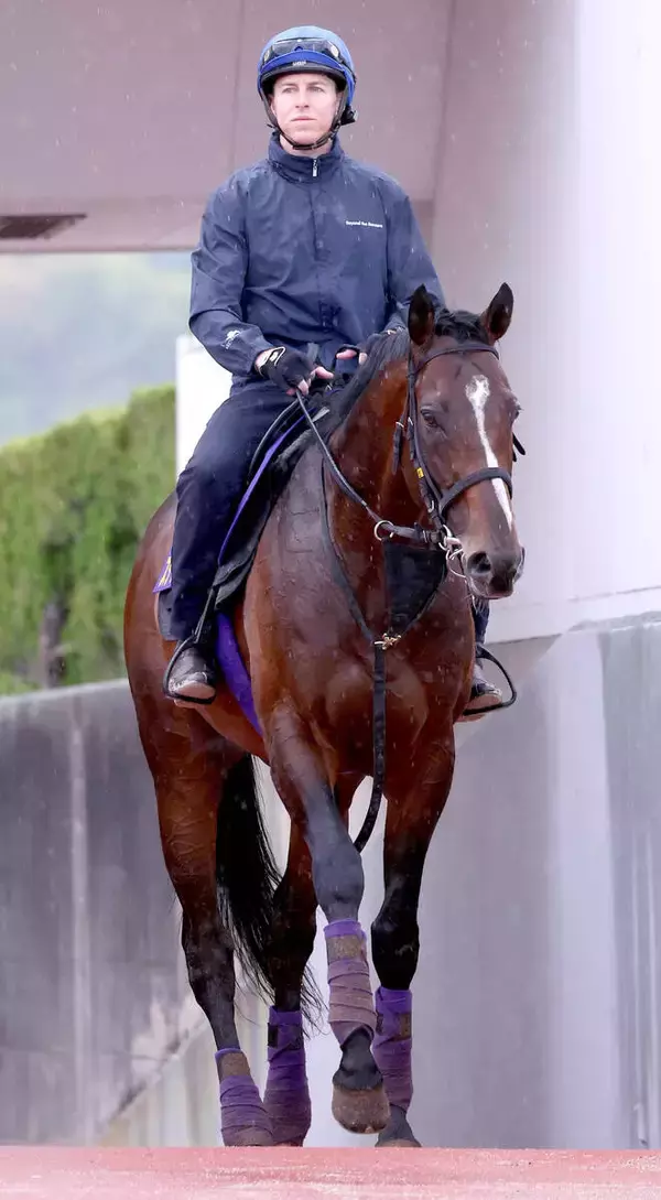 【Ｇ１・１週前まとめ】スティンガーグラスの友道康夫調教師「前回より落ち着いているんだよね」天皇賞・春