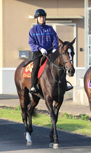 【Ｇ１トク捜リレー】過去の逆襲馬と共通点　桜花賞９着のドリームコア　オークスでの巻き返しに期待　角田記者が注目