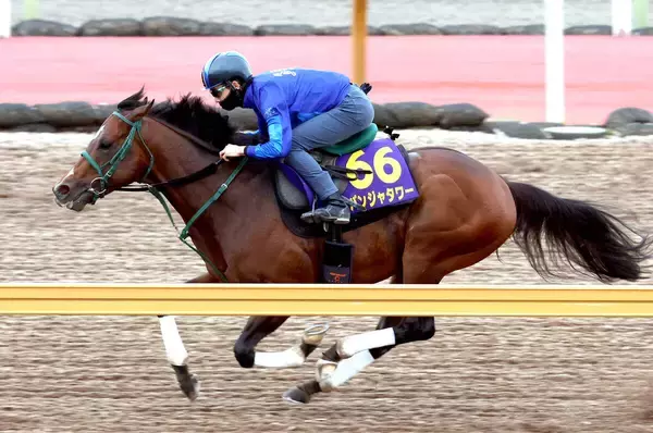 【Ｇ１トク捜リレー】昨年の３歳マイル王の安田記念最終追い切りに注目　勝負のＣＷコース追いでＧ１・２勝目へ